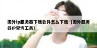 国外ip服务器下载软件怎么下载（国外服务器IP查询工具）
