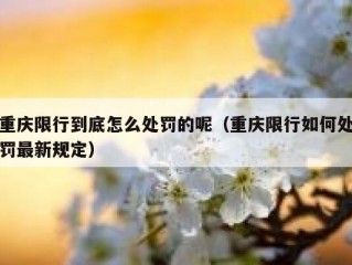 重庆限行到底怎么处罚的呢（重庆限行如何处罚最新规定）