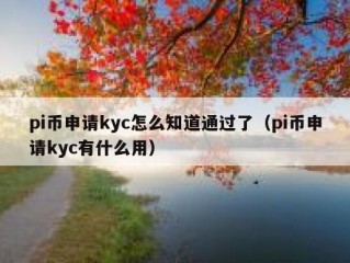pi币申请kyc怎么知道通过了（pi币申请kyc有什么用）
