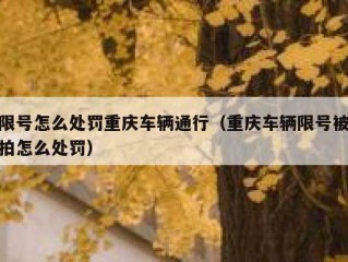 限号怎么处罚重庆车辆通行（重庆车辆限号被拍怎么处罚）