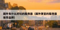 国外有什么好玩的服务器（国外便宜的服务器推荐品牌）