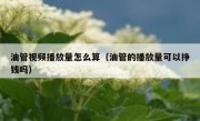 油管视频播放量怎么算（油管的播放量可以挣钱吗）