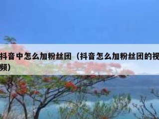 抖音中怎么加粉丝团（抖音怎么加粉丝团的视频）