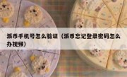 派币手机号怎么验证（派币忘记登录密码怎么办视频）