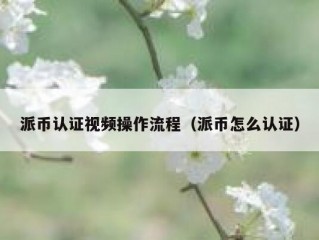 派币认证视频操作流程（派币怎么认证）