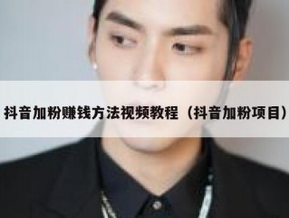 抖音加粉赚钱方法视频教程（抖音加粉项目）