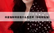 抖音加粉项目是什么意思啊（抖音粉加加）