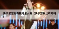 快手里涨粉有钱吗怎么赚（快手涨粉丝有用吗）