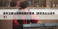 派币注册认证教程图片高清（派币怎么认证不了）