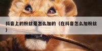 抖音上的粉丝是怎么加的（在抖音怎么加粉丝）