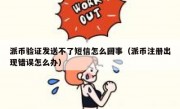 派币验证发送不了短信怎么回事（派币注册出现错误怎么办）