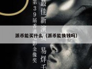 派币能买什么（派币能换钱吗）
