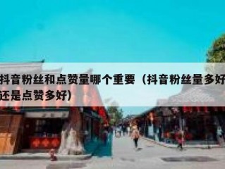 抖音粉丝和点赞量哪个重要（抖音粉丝量多好还是点赞多好）