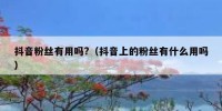 抖音粉丝有用吗?（抖音上的粉丝有什么用吗）