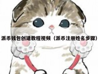 派币钱包创建教程视频（派币注册姓名步骤）