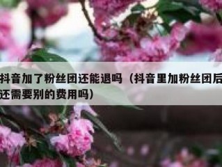 抖音加了粉丝团还能退吗（抖音里加粉丝团后还需要别的费用吗）