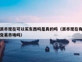 派币现在可以买东西吗是真的吗（派币现在有交易市场吗）