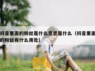 抖音里面的粉丝是什么意思是什么（抖音里面的粉丝有什么用处）