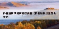 抖音加粉项目有哪些内容（抖音加粉丝是什么意思）