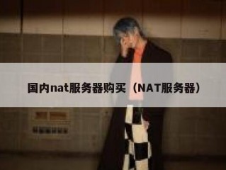 国内nat服务器购买（NAT服务器）