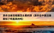 派币注册流程图怎么看的到（派币在中国注册商标了吗是真的吗）