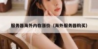 服务器海外内存涨价（海外服务器购买）