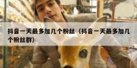 抖音一天最多加几个粉丝（抖音一天最多加几个粉丝群）