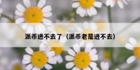 派币进不去了（派币老是进不去）