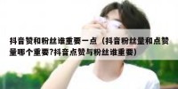 抖音赞和粉丝谁重要一点（抖音粉丝量和点赞量哪个重要?抖音点赞与粉丝谁重要）