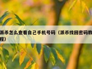 派币怎么查看自己手机号码（派币找回密码教程）