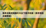 派币注册流程图片大全下载手机版（派币钱包注册教程）