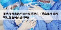 重庆限号当天不能开车吗现在（重庆限号当天可以在主城内通行吗）