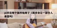 pi币在哪个国开始用了（派币会让一部分人暴富吗）