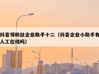 抖音领粉丝企业助手十二（抖音企业小助手有人工在线吗）