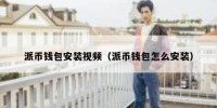 派币钱包安装视频（派币钱包怎么安装）