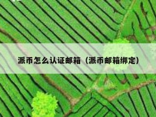 派币怎么认证邮箱（派币邮箱绑定）