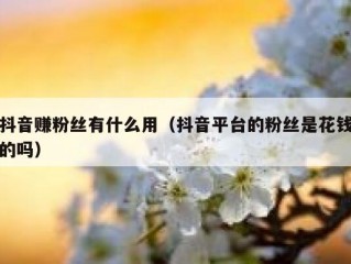 抖音赚粉丝有什么用（抖音平台的粉丝是花钱的吗）