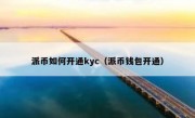 派币如何开通kyc（派币钱包开通）
