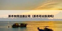 派币如何注册公司（派币可以投资吗）