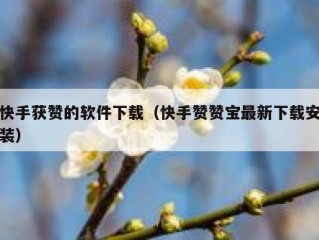 快手获赞的软件下载（快手赞赞宝最新下载安装）