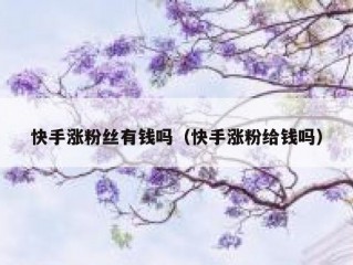 快手涨粉丝有钱吗（快手涨粉给钱吗）