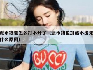 派币钱包怎么打不开了（派币钱包加载不出来什么原因）