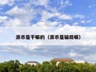 派币是干嘛的（派币是骗局嘛）