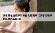 派币钱包加载不出来什么原因呢（派币出现钱包风险怎么解决）