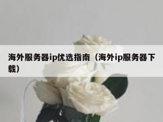 海外服务器ip优选指南（海外ip服务器下载）