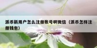 派币新用户怎么注册账号啊微信（派币怎样注册钱包）