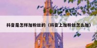 抖音是怎样加粉丝的（抖音上加粉丝怎么加）