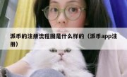 派币的注册流程图是什么样的（派币app注册）
