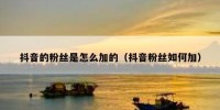 抖音的粉丝是怎么加的（抖音粉丝如何加）
