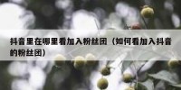 抖音里在哪里看加入粉丝团（如何看加入抖音的粉丝团）